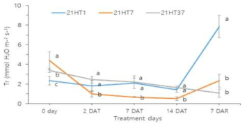 고온처리시 고추 품종별 증산률 변화 DAT- days after transplanting, DAR- days after recovery at normal condition. Vertical bars represent SD (n = 4). Different letters indicate significant differences by Duncan’s multiple range test at p< 0.05