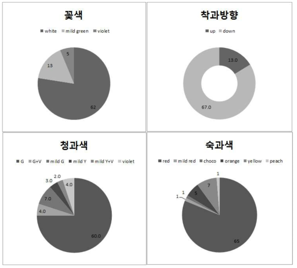 집중착과형 평가 재료들의 주요 원예적 특성