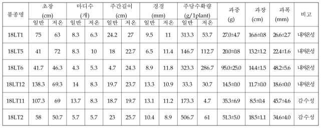 내저온성 평가 계통들의 주당수확개수, 주당 수확량