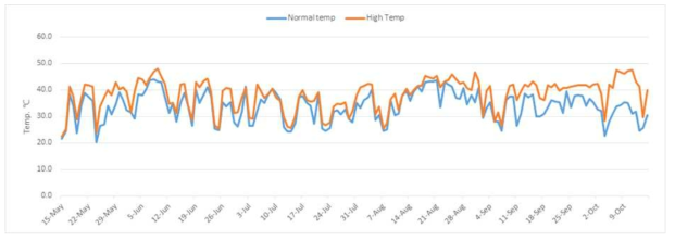 정식 후 하우스 내 온도변화(파란색 :정상관리, 빨간색: 고온관리)