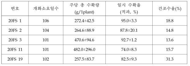 집중착과형 선발 계통의 주요 특성