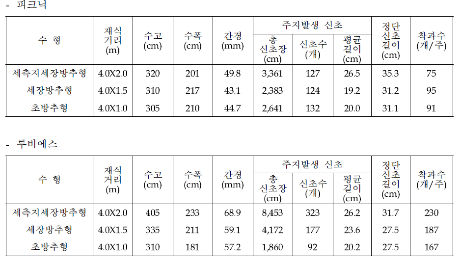 중·소과 품종 재식 3년차 수형별 수체생육상황(2019)