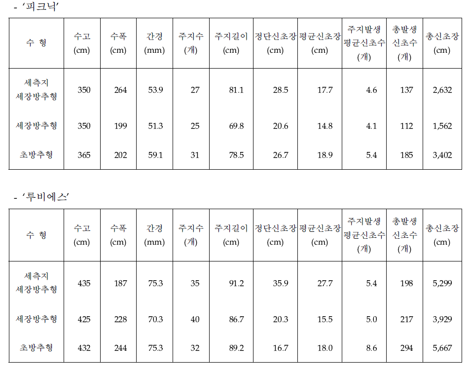 중·소과 품종 재식 4년차 수형별 수체생육상황(2020)