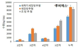 수형별 ‘루비에스’ 품종의 연차별 누적수량