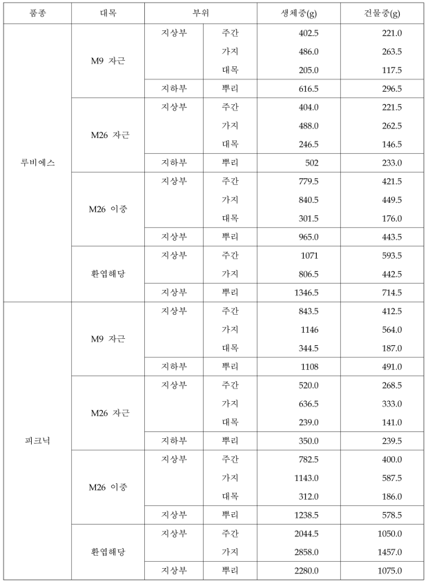 중·소과 품종의 대목별 재식 2년차 생체중 및 건물중(2018)