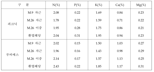 중·소과 품종(‘루비에스’, ‘피크닉’)의 대목종류별 재식 2년차 엽내무기성분함량(2018)