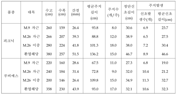 중·소과 품종(‘루비에스’, ‘피크닉’)의 대목종류별 재식 2년차 수체생육상황(2018)