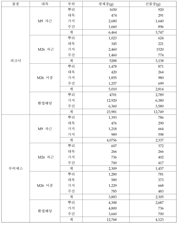 중·소과 품종의 대목별 재식 2년차 생체중 및 건물중(2019)