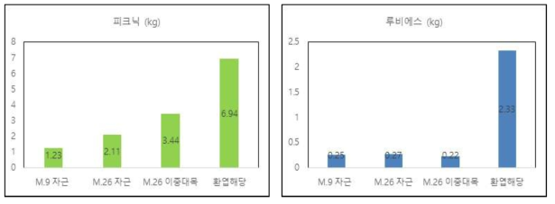 중·소과 품종의 재식 4년차 대목별 동계전정량(2020, 단위: kg/tree)