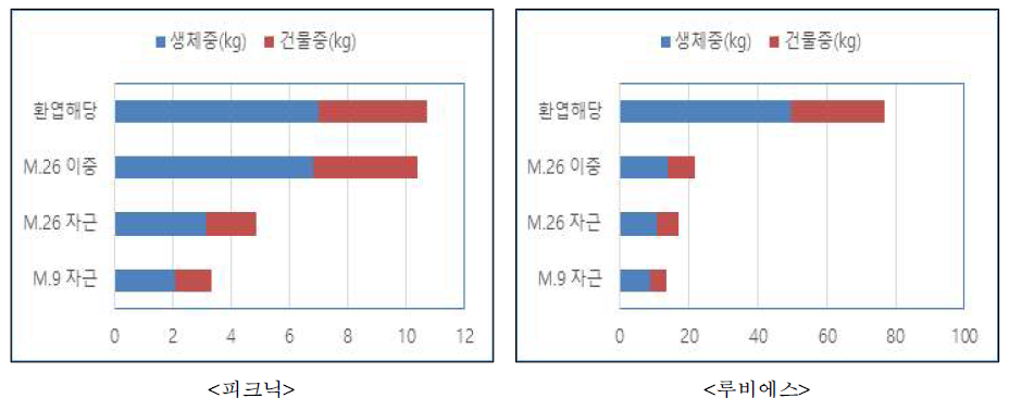 중·소과 품종의 3년생 굴취 후 생체중 및 건물중(2020)