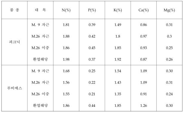 중·소과 품종(‘피크닉’, ‘루비에스’)의 대목종류별 재식 4년차 엽내무기성분함량(2020)