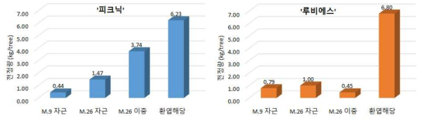 중·소과 품종의 재식 5년차 대목별 동계전정량(2021, 단위: g/tree)