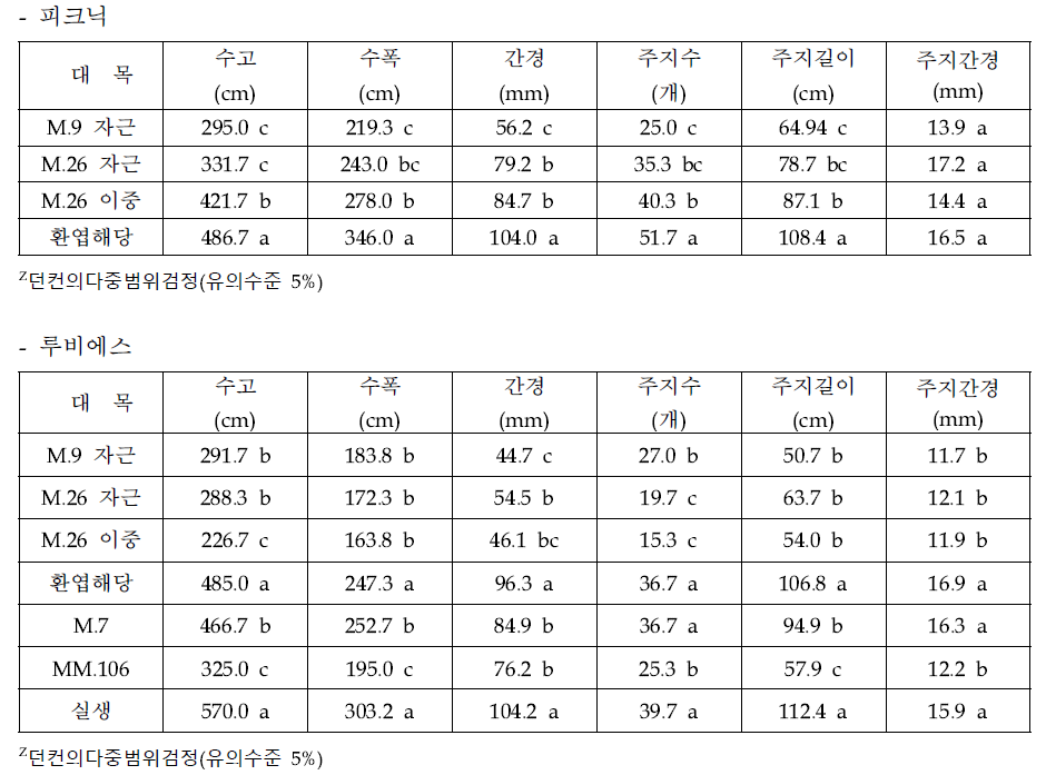 중·소과 품종의 대목종류별 재식 5년차 수체생육상황(2021)