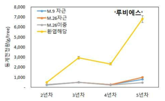 대목에 따른 ‘루비에스’의 연차별 동계전정량