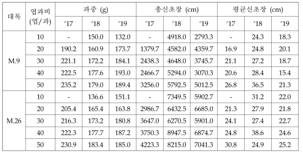 ‘피크닉’ 품종의 대목 및 엽과비에 따른 과중, 총신초장 및 평균신초장 (2017~2019)