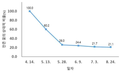 ’루비에스’/M.26의 시기별 자가적과(화) 양상