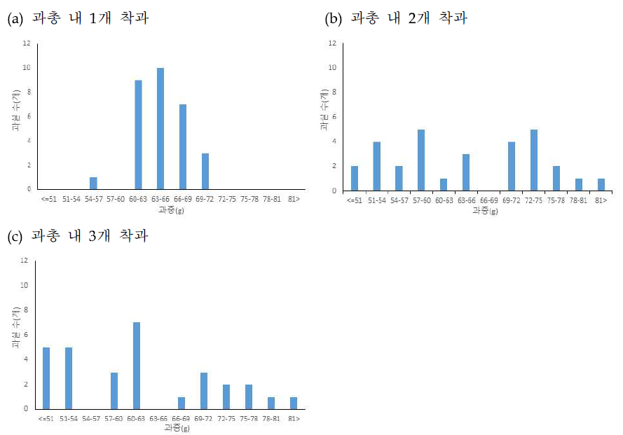 ’루비에스’/M.26의 과총 내 착과수에 따른 과중별 분포. n=30. (2020)