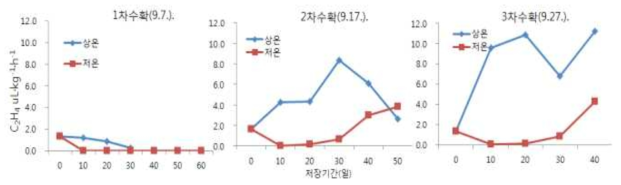 황옥 사과의 수확시기 및 저장방법별 에틸렌