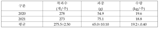 루비에스 사과의 착과 및 수량성