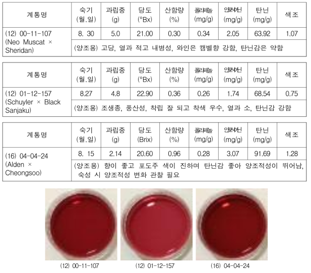 1차 선발계통 특성조사 결과(2017)