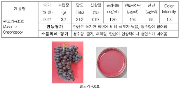 지적계통 특성조사 결과(2020)