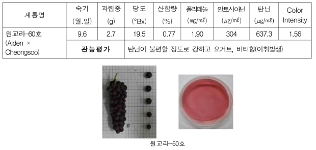 지적계통 특성조사 결과(2021)