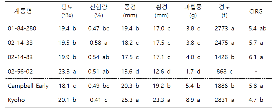 2년차 생식용 평가 계통의 과실 특성 평가