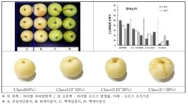 봉지종류별 과피색변화 및 코르크 발생 조사