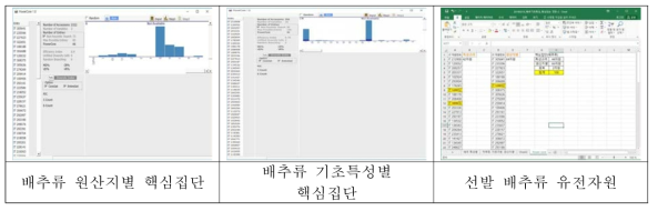 선발된 배추류 유전자원 핵심집단