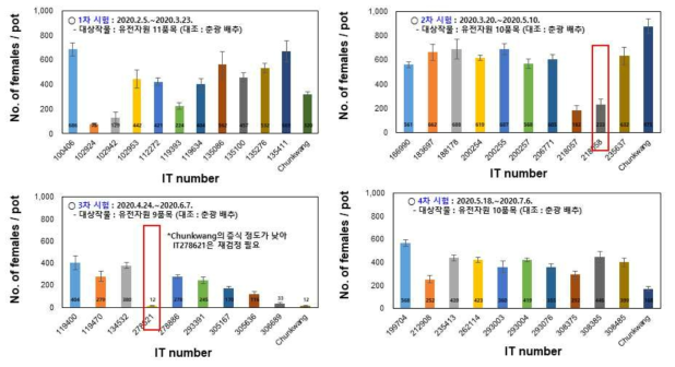 사탕무씨스트선충에 대한 배추류 유전자원의 저항성 검정 결과(1~4차 시험)