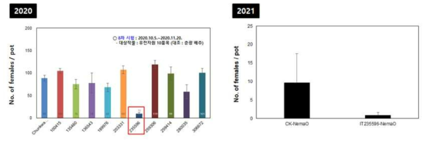 배추류 유전자원의 사탕무씨스트선충 저항성 반응(2020∼2021)