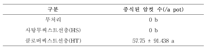 화이트클로버에서의 씨스트선충 암컷 증식 수