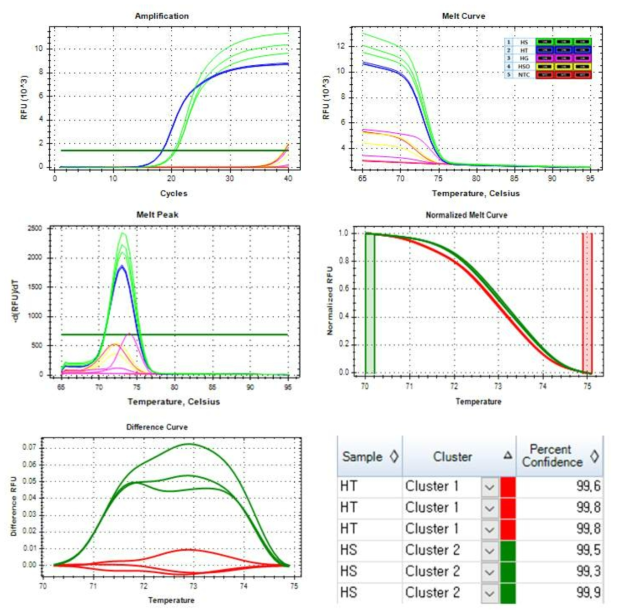 HT, HS 종특이프라이머 A세트의 qPCR 및 HRM 분석 결과