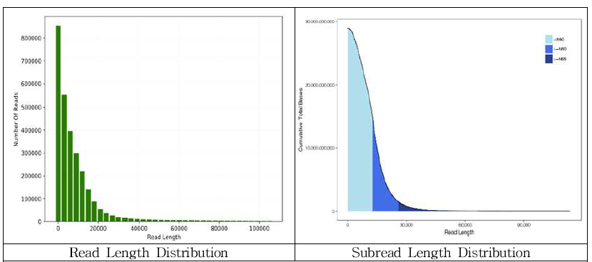 read 길이와 subread 길이 분포도