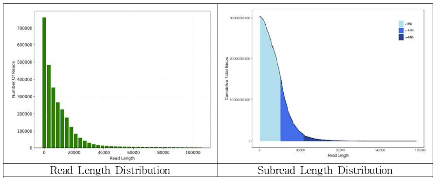read 길이와 subread 길이 분포도