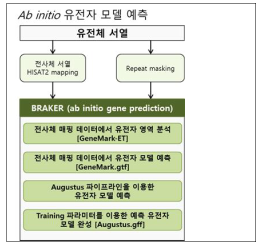 BRAKER를 사용한 ab-initio 유전자 예측 모식도