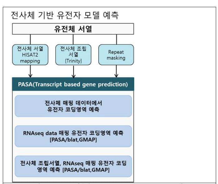 PASA를 이용한 Evidence based gene prediction 모식도