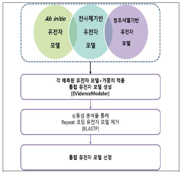 EvidenceModeler를 사용한 최종 consensus 유전자 모델