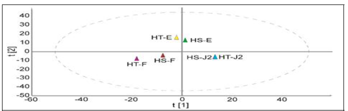 HT 및 HS 발생단계별 일차대사물질 PCA 분석