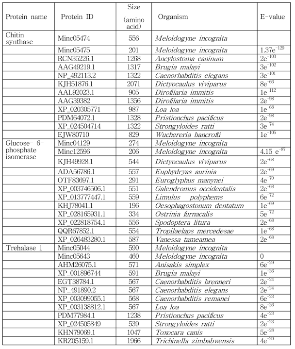 식물기생선충의 키틴생합성 단백질의 상동성 분석