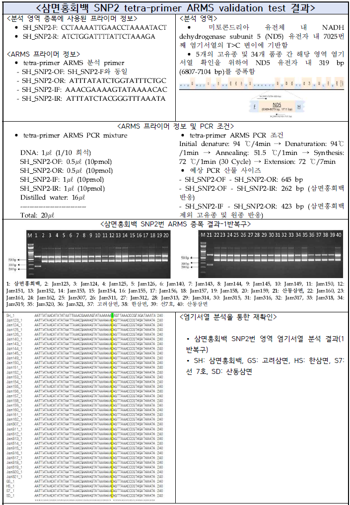 삼면홍회백 SNP2 tetra-primer ARMS validation test 결과