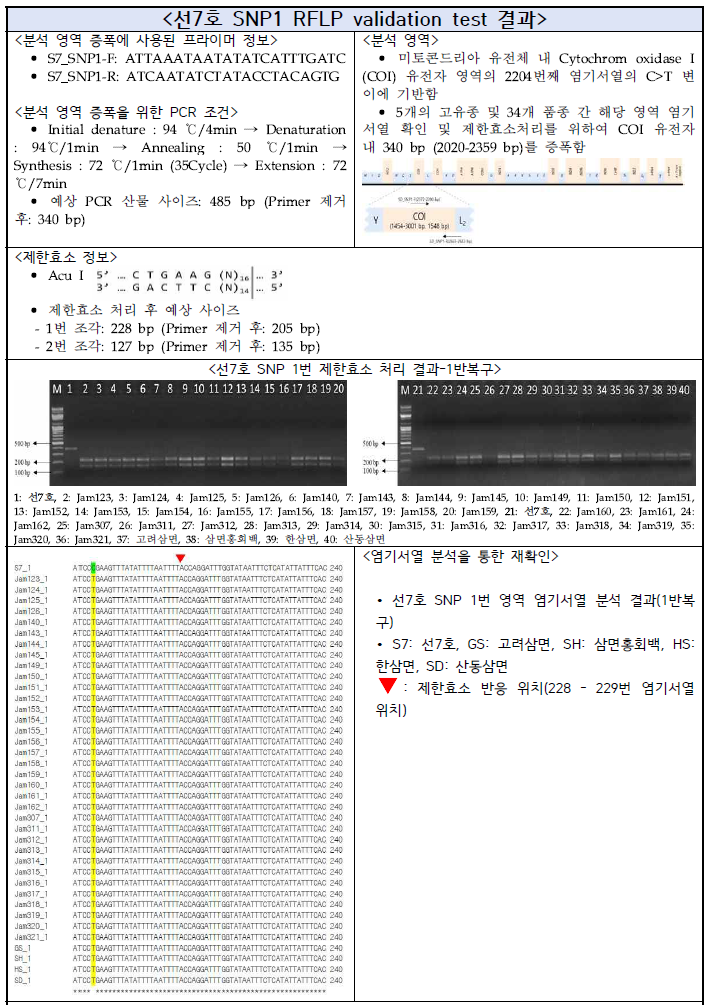 선7호 SNP1 RFLP validation test 결과