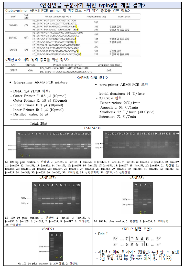 한삼면을 구분하기 위한 typing법 개발 결과