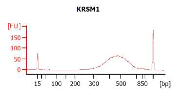 구축된 MGIseq paired-end library Insert Size 분석