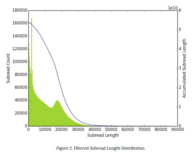 생산된 Pacbio Subread의 Length Distribution