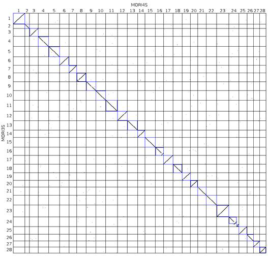 고려삼면과 p50T 참조유전체 28개 Chromosome간 Blast Dot Plot