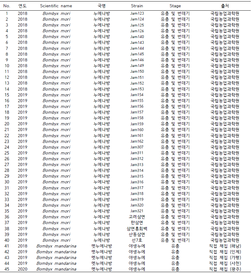 총 확보한 원종 누에 품종 및 야생누에 시료 리스트