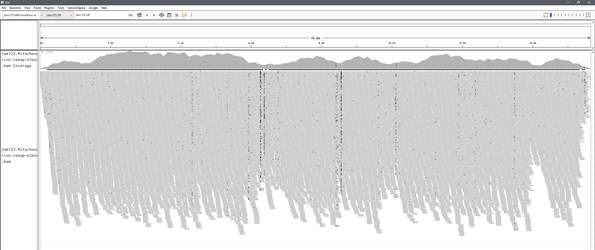 Jam154 품종의 final remapping for completeness check