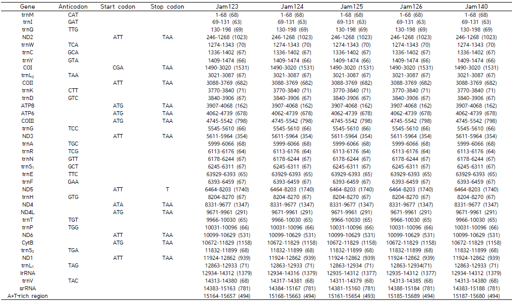 45개 시료에 대한 미토콘드리아 유전체 주석화 결과(계속)