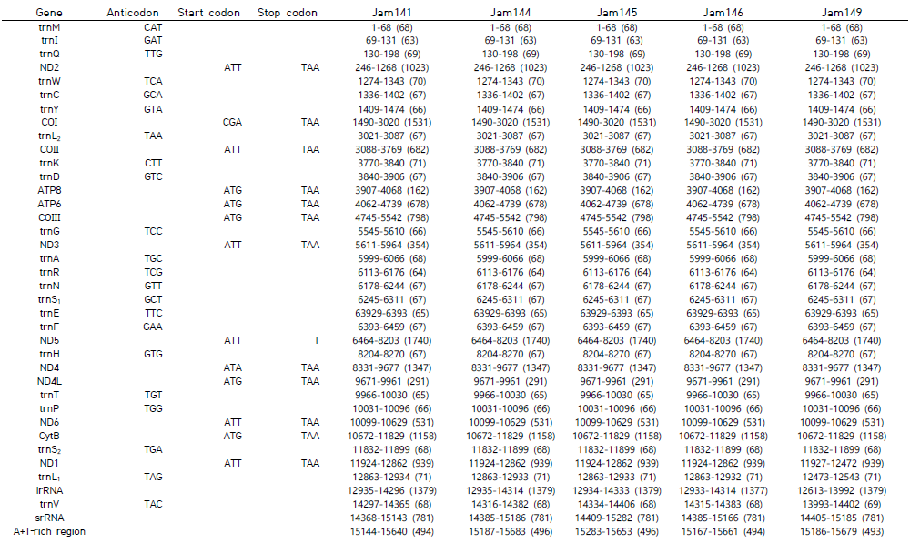 45개 시료에 대한 미토콘드리아 유전체 주석화 결과(계속)
